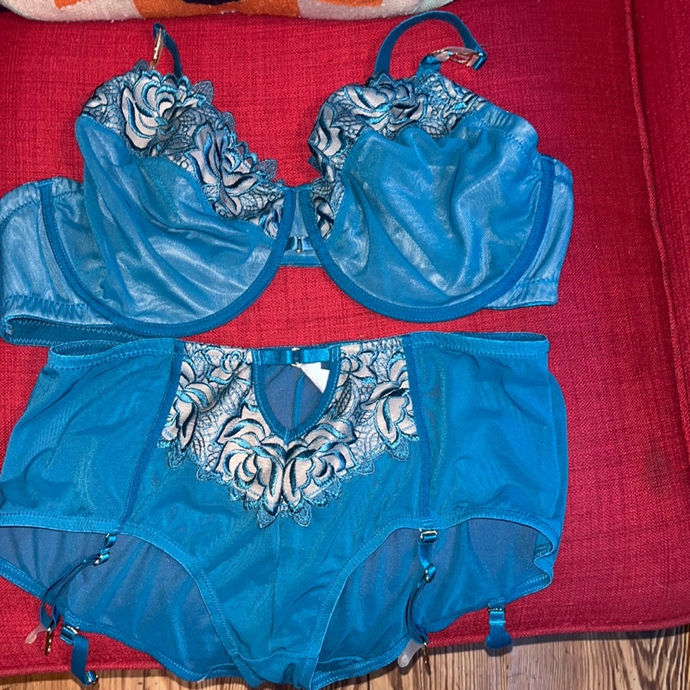 Adore Me Bra and Panty Set, Turquoise/Green 36DDD and large panty.